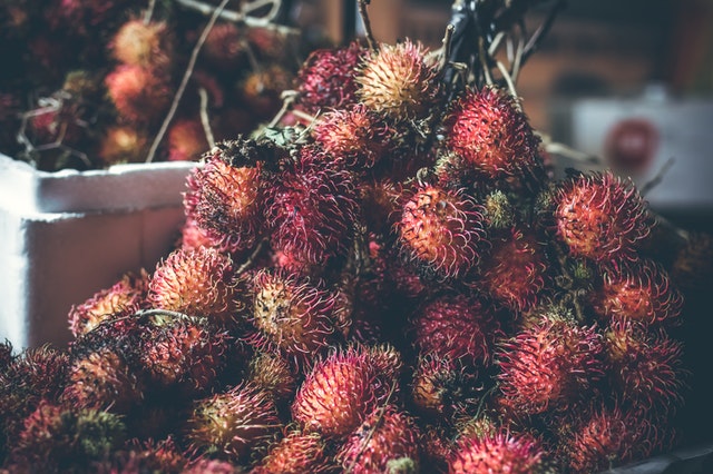 Rawat dan pelihara rambutan dengan baik. 