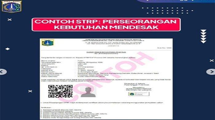 Cara Membuat Strp Surat Tanda Registrasi Pekerja Info Caribes Net